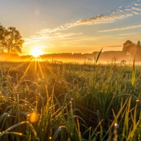 O sol que nasce para os bons e para os maus