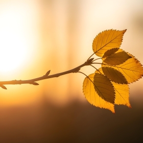 O Ciclo Divino da Vida: Uma Reflexão sobre Começos, Fins e a Promessa da Eternidade